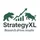 StrategyXL